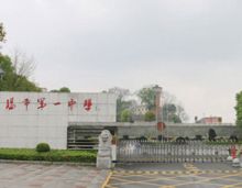 益阳市一中学校附近有哪些新楼盘在售？